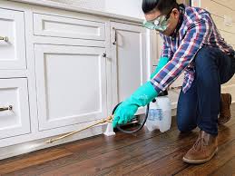 Real Estate Pest Inspections in Meadowbrook, AL